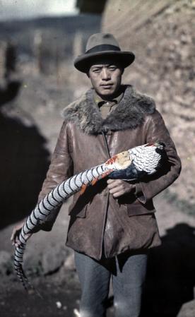 Man with peacock, China, 1928, Autochrome by Joseph Rock